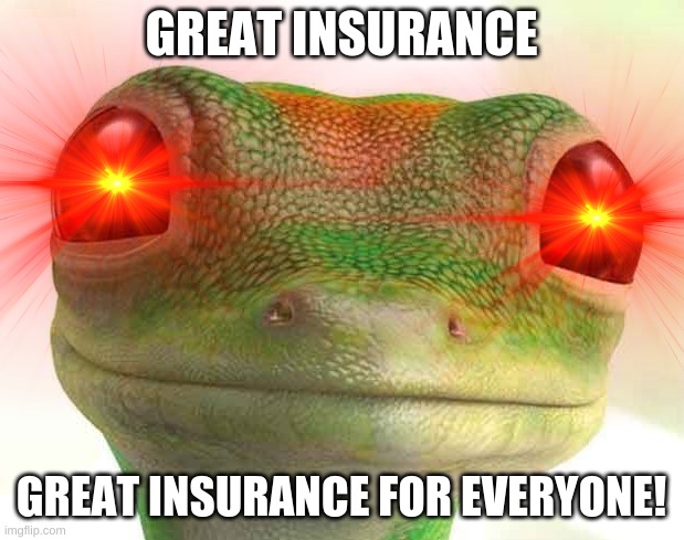 Great Insurance |  GREAT INSURANCE; GREAT INSURANCE FOR EVERYONE! | image tagged in meme,funny,martin the lizard,geico | made w/ Imgflip meme maker