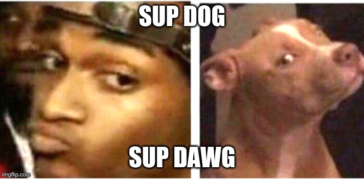 Sup Dawg | SUP DOG; SUP DAWG | image tagged in funny,dog,man | made w/ Imgflip meme maker