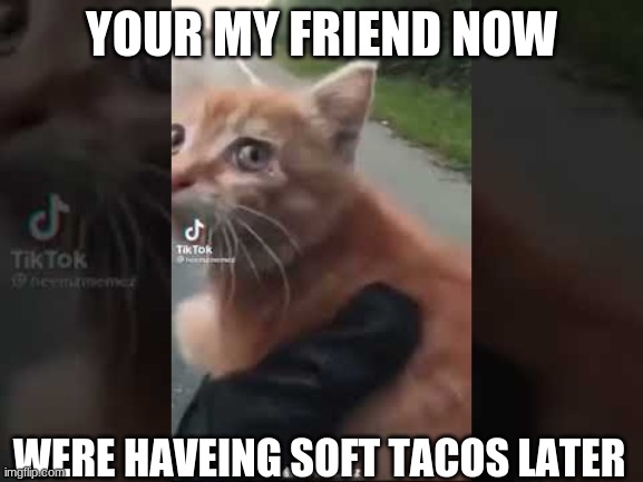 YOUR MY FRIEND NOW WERE HAVEING SOFT TACOS LATER | made w/ Imgflip meme maker