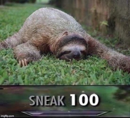 Sloth sneak 100 jpeg degrade | image tagged in sloth sneak 100 jpeg degrade | made w/ Imgflip meme maker