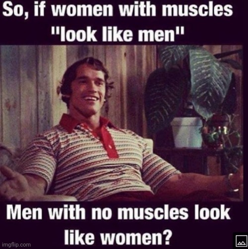 image tagged in funny memes | made w/ Imgflip meme maker