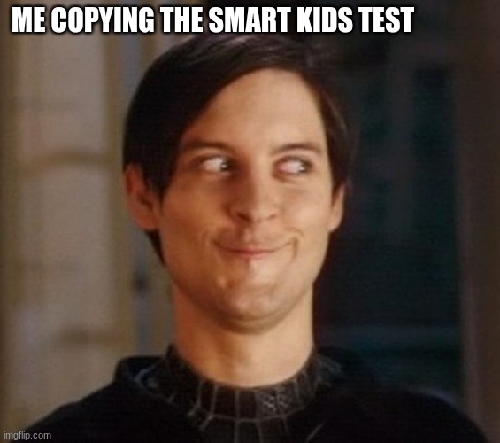 smort | ME COPYING THE SMART KIDS TEST | image tagged in memes | made w/ Imgflip meme maker