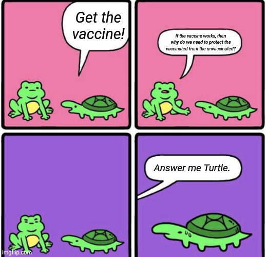 Answer me, Turtle! | Get the vaccine! If the vaccine works, then why do we need to protect the vaccinated from the unvaccinated? Answer me Turtle. | image tagged in answer me turtle,covid,vaccine,politics,covidiots | made w/ Imgflip meme maker