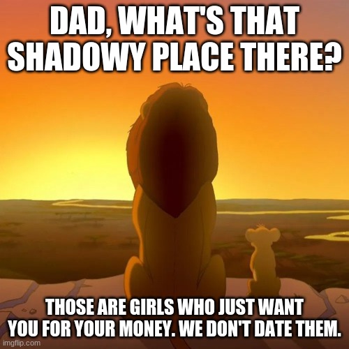 Facts | DAD, WHAT'S THAT SHADOWY PLACE THERE? THOSE ARE GIRLS WHO JUST WANT YOU FOR YOUR MONEY. WE DON'T DATE THEM. | image tagged in memes,relatable memes,gold diggers,lion king memes,funny memes,memes 2022 | made w/ Imgflip meme maker