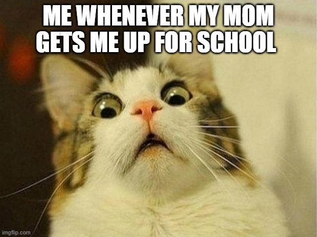 getting up for school be like | ME WHENEVER MY MOM GETS ME UP FOR SCHOOL | image tagged in memes,scared cat | made w/ Imgflip meme maker