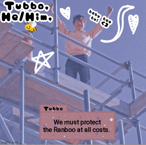 We must protect the Ranboo at all costs. | image tagged in tubbo | made w/ Imgflip meme maker