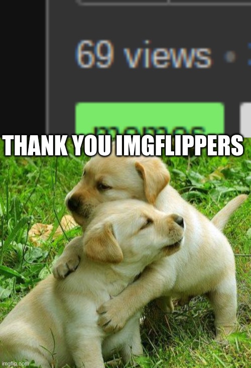 :) | THANK YOU IMGFLIPPERS | image tagged in puppy i love bro,let's raise their taxes | made w/ Imgflip meme maker