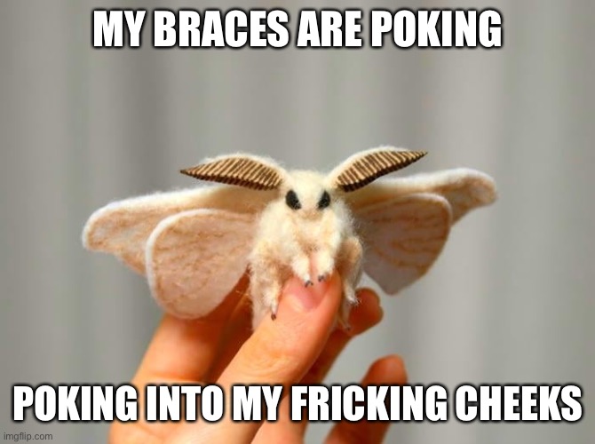 MY BRACES ARE POKING; POKING INTO MY FRICKING CHEEKS | made w/ Imgflip meme maker