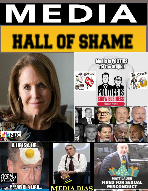 Media Hall of Shame | image tagged in katie curic,mediaocracy,democrats,nbc,evil | made w/ Imgflip meme maker