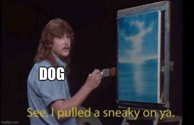 I pulled a sneaky | DOG | image tagged in i pulled a sneaky | made w/ Imgflip meme maker