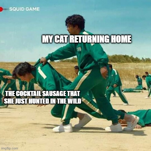 cocktail sausage in the wild now ? | MY CAT RETURNING HOME; THE COCKTAIL SAUSAGE THAT SHE JUST HUNTED IN THE WILD | image tagged in squid game,cats,memes,funny | made w/ Imgflip meme maker