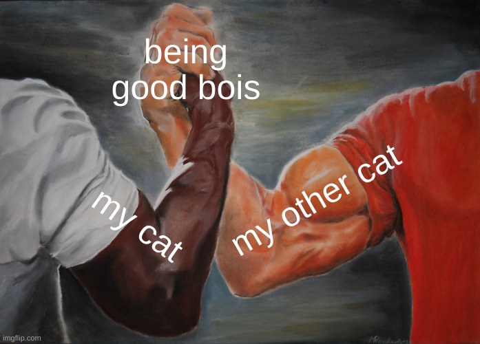 Epic Handshake | being good bois; my other cat; my cat | image tagged in memes,epic handshake | made w/ Imgflip meme maker