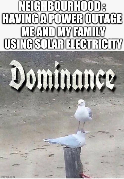 Than that one neighbour comes to your door step | NEIGHBOURHOOD : HAVING A POWER OUTAGE; ME AND MY FAMILY USING SOLAR ELECTRICITY | image tagged in dominance bird | made w/ Imgflip meme maker