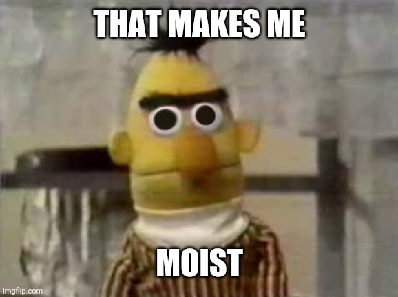 Bert Stare | THAT MAKES ME MOIST | image tagged in bert stare | made w/ Imgflip meme maker