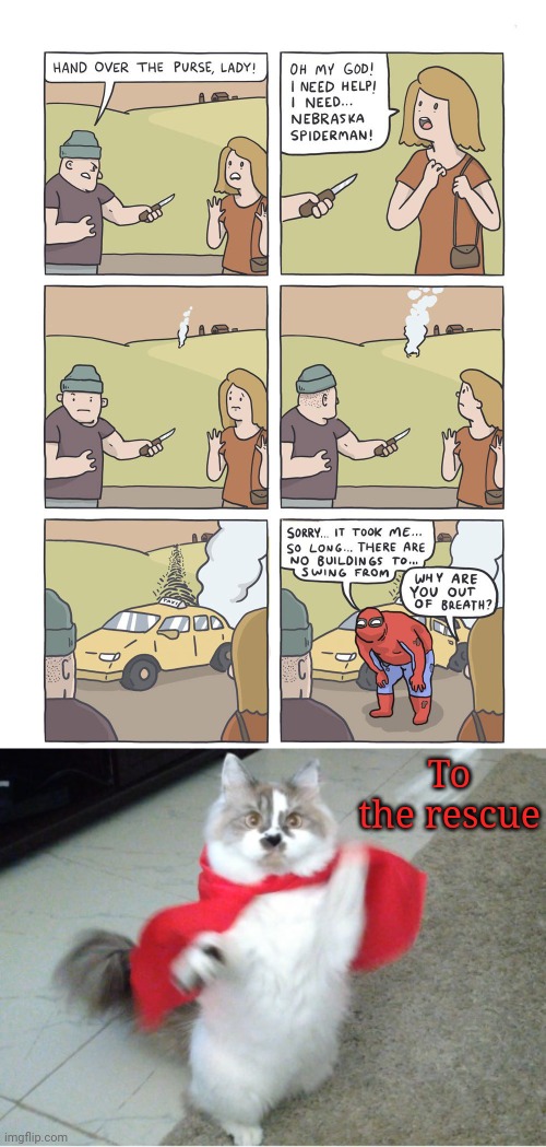 Spider-Man | To the rescue | image tagged in to the rescue,comics/cartoons,comics,comic,spiderman,memes | made w/ Imgflip meme maker
