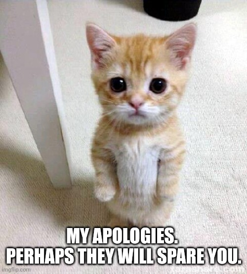 Cute Cat Meme | MY APOLOGIES.  PERHAPS THEY WILL SPARE YOU. | image tagged in memes,cute cat | made w/ Imgflip meme maker