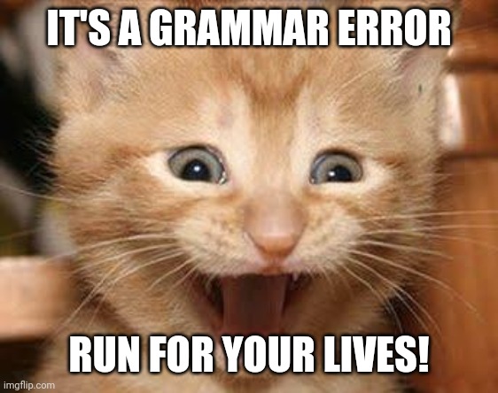 Excited Cat Meme | IT'S A GRAMMAR ERROR RUN FOR YOUR LIVES! | image tagged in memes,excited cat | made w/ Imgflip meme maker