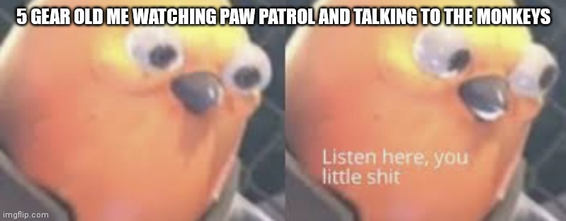 Stupid monkeys |  5 GEAR OLD ME WATCHING PAW PATROL AND TALKING TO THE MONKEYS | image tagged in listen here you little shit bird,paw patrol,monkeys | made w/ Imgflip meme maker