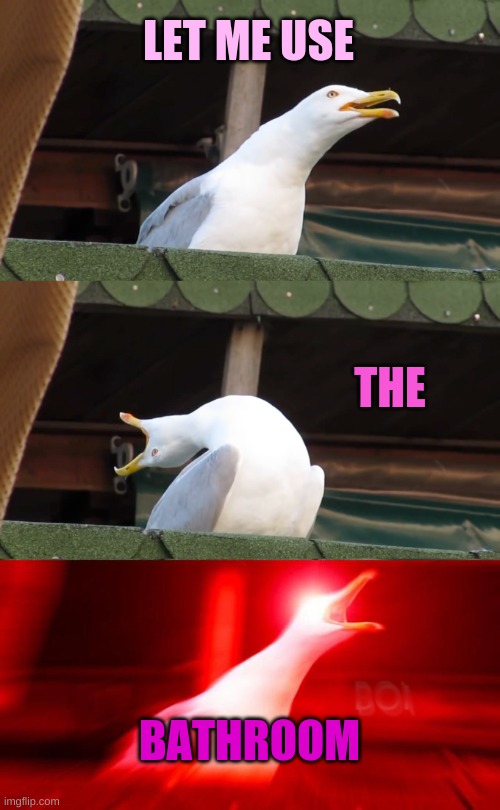 Inhaling seagull | LET ME USE; THE; BATHROOM | image tagged in inhaling seagull | made w/ Imgflip meme maker