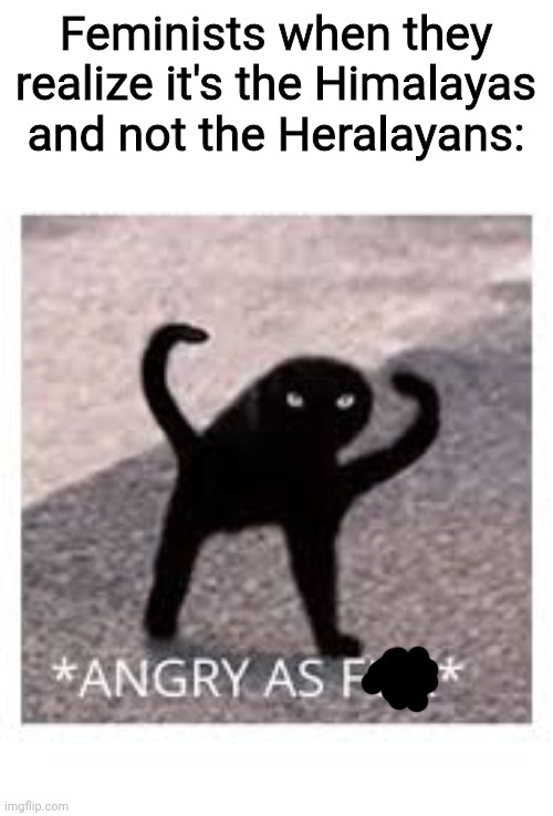 Angery as Fuk | Feminists when they realize it's the Himalayas and not the Heralayans: | image tagged in angery,as,frik | made w/ Imgflip meme maker