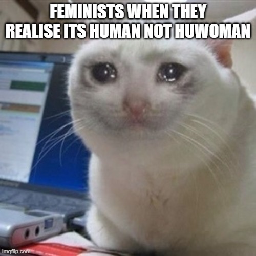 feminists oof | FEMINISTS WHEN THEY REALISE ITS HUMAN NOT HUWOMAN | image tagged in crying cat | made w/ Imgflip meme maker