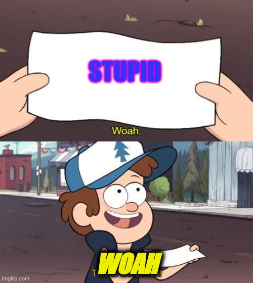 woah | STUPID; WOAH | image tagged in funny memes | made w/ Imgflip meme maker