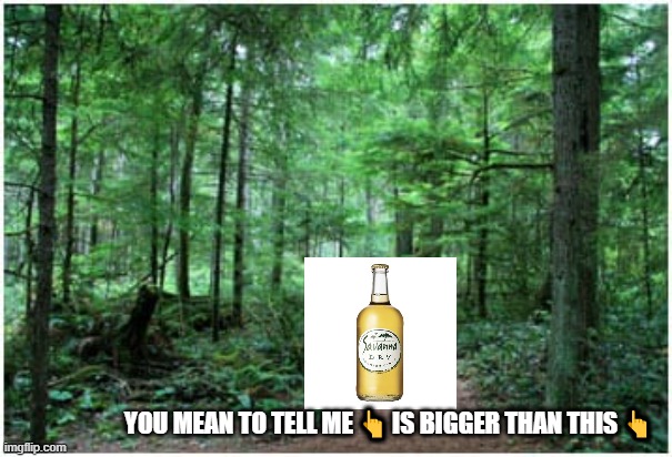 Biomes | YOU MEAN TO TELL ME 👆 IS BIGGER THAN THIS 👆 | image tagged in memes | made w/ Imgflip meme maker