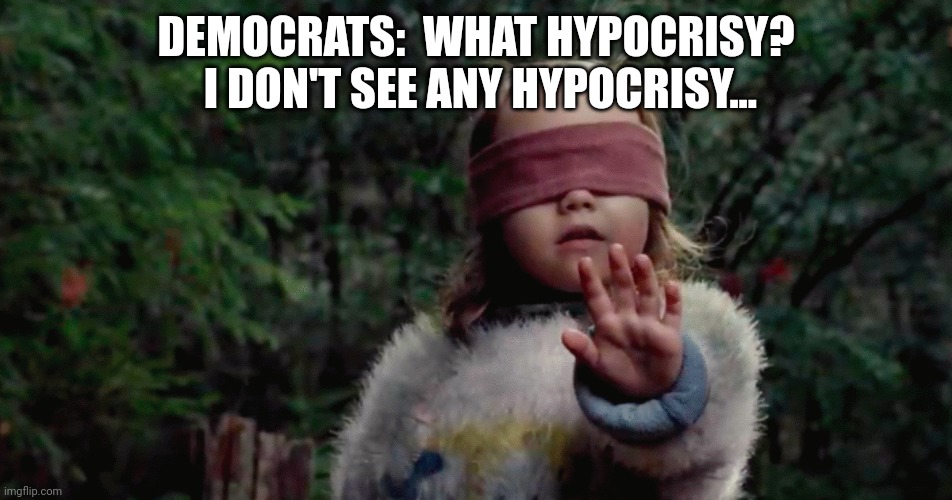 Bird box girl | DEMOCRATS:  WHAT HYPOCRISY?  I DON'T SEE ANY HYPOCRISY... | image tagged in bird box girl | made w/ Imgflip meme maker