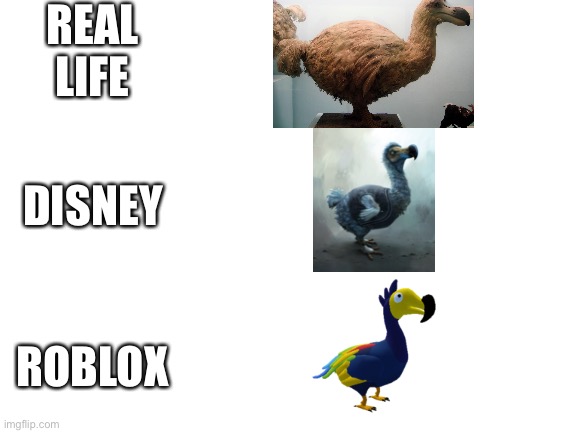 Blank White Template | REAL LIFE; DISNEY; ROBLOX | image tagged in birds,roblox,comparison,memes | made w/ Imgflip meme maker
