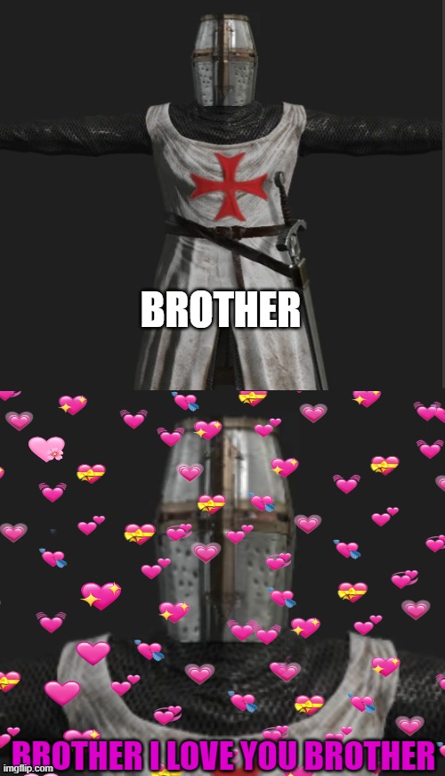 b r o t h e r | BROTHER; BROTHER I LOVE YOU BROTHER | image tagged in wholesome,crusader,brother | made w/ Imgflip meme maker