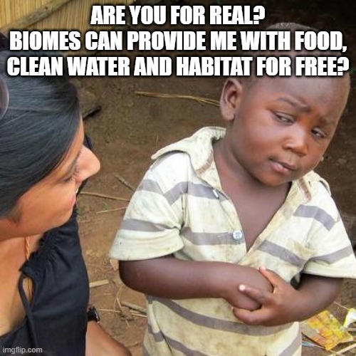 Biomes | ARE YOU FOR REAL?
BIOMES CAN PROVIDE ME WITH FOOD, CLEAN WATER AND HABITAT FOR FREE? | image tagged in memes,third world skeptical kid | made w/ Imgflip meme maker