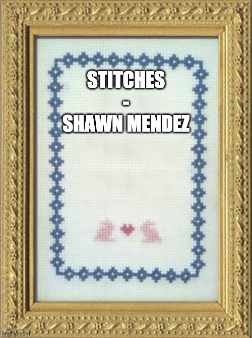 This is one of the songs I sing in the shower | STITCHES
-
SHAWN MENDEZ | image tagged in grandma's cross stitch | made w/ Imgflip meme maker