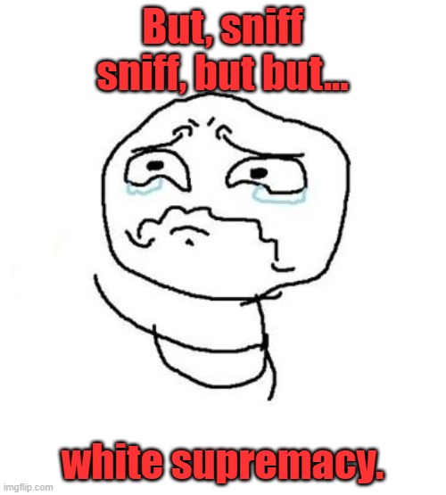 But But But - clean version | But, sniff sniff, but but... white supremacy. | image tagged in but but but - clean version | made w/ Imgflip meme maker
