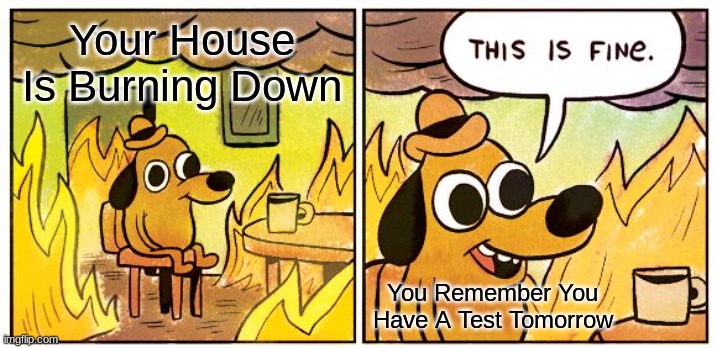 This Is Fine | Your House Is Burning Down; You Remember You Have A Test Tomorrow | image tagged in memes,this is fine | made w/ Imgflip meme maker