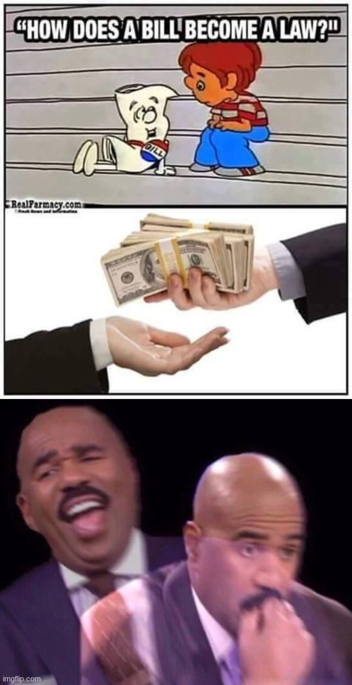 The sad truth | image tagged in steve harvey laughing serious,political meme,truth | made w/ Imgflip meme maker