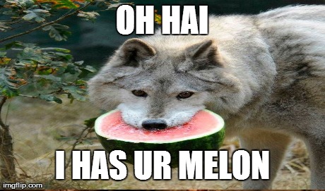 One Does Not Simply Meme | OH HAI I HAS UR MELON | image tagged in memes,one does not simply | made w/ Imgflip meme maker