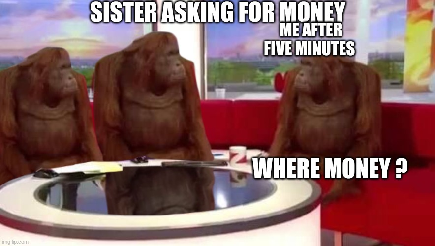 where monkey | SISTER ASKING FOR MONEY; ME AFTER FIVE MINUTES; WHERE MONEY ? | image tagged in where monkey | made w/ Imgflip meme maker