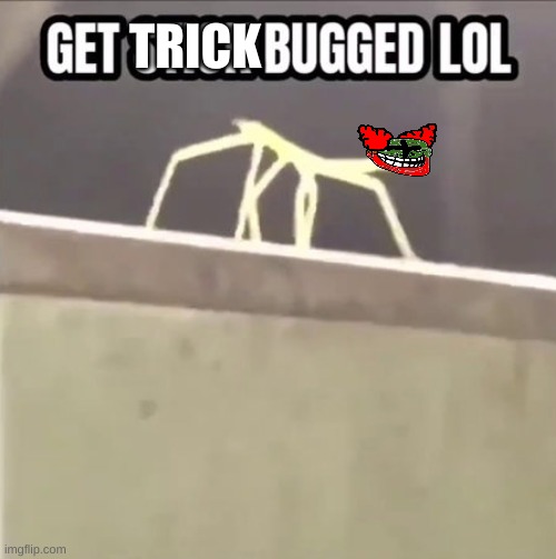 Get stick bugged lol | TRICK | image tagged in get stick bugged lol | made w/ Imgflip meme maker