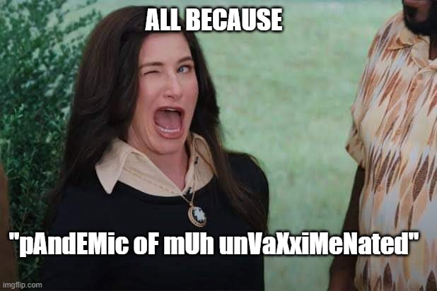WandaVision Agnes wink | "pAndEMic oF mUh unVaXxiMeNated" ALL BECAUSE | image tagged in wandavision agnes wink | made w/ Imgflip meme maker