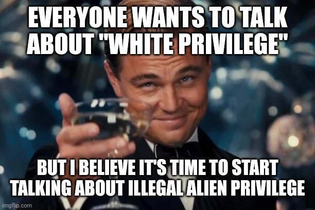 Why are we ignoring the privileges of illegal aliens in this country and their ability to commit crimes and get away with it. | EVERYONE WANTS TO TALK ABOUT "WHITE PRIVILEGE"; BUT I BELIEVE IT'S TIME TO START TALKING ABOUT ILLEGAL ALIEN PRIVILEGE | image tagged in memes,leonardo dicaprio cheers | made w/ Imgflip meme maker