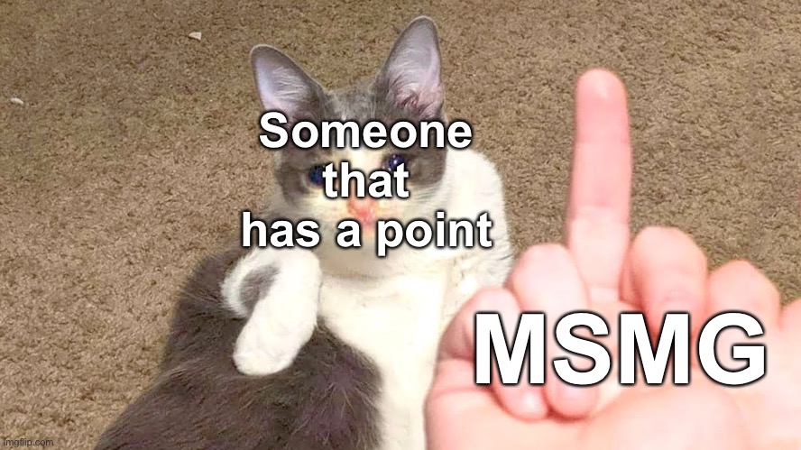Middle finger cat | Someone that has a point; MSMG | image tagged in middle finger cat | made w/ Imgflip meme maker