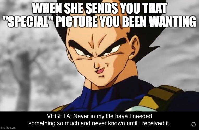 Special pic | WHEN SHE SENDS YOU THAT "SPECIAL" PICTURE YOU BEEN WANTING | image tagged in vegeta,need,special | made w/ Imgflip meme maker