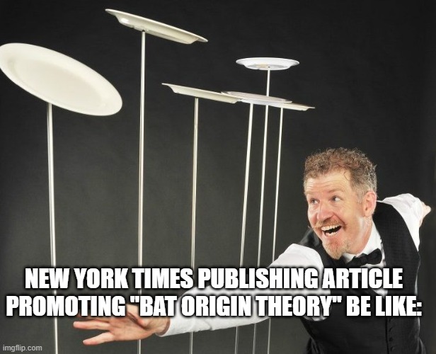 Spinning Plates | NEW YORK TIMES PUBLISHING ARTICLE PROMOTING "BAT ORIGIN THEORY" BE LIKE: | image tagged in spinning plates | made w/ Imgflip meme maker