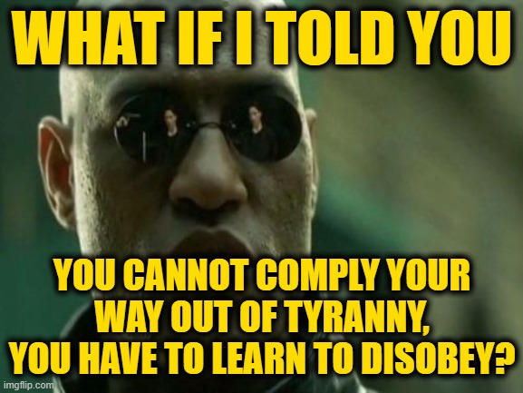 WHAT IF IT TOLD YOU | WHAT IF I TOLD YOU; YOU CANNOT COMPLY YOUR WAY OUT OF TYRANNY, YOU HAVE TO LEARN TO DISOBEY? | image tagged in what if it told you | made w/ Imgflip meme maker