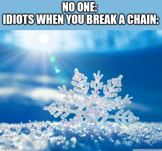 "nOOOO yOu CanT dO ThAt- Go tO jAiL DDDDDDDDD:< | NO ONE: 
IDIOTS WHEN YOU BREAK A CHAIN: | image tagged in snowflake | made w/ Imgflip meme maker