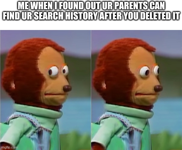 WHY DO THEY HAVE THIS POWER ;( | ME WHEN I FOUND OUT UR PARENTS CAN FIND UR SEARCH HISTORY AFTER YOU DELETED IT | image tagged in puppet monkey looking away,funny | made w/ Imgflip meme maker