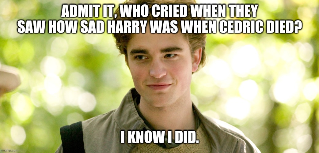 i was sobbing so hard- | ADMIT IT, WHO CRIED WHEN THEY SAW HOW SAD HARRY WAS WHEN CEDRIC DIED? I KNOW I DID. | image tagged in sad me,cedric diggory,harry potter,potterheadsunite | made w/ Imgflip meme maker