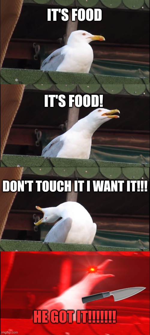 Seagull | IT'S FOOD; IT'S FOOD! DON'T TOUCH IT I WANT IT!!! HE GOT IT!!!!!!! | image tagged in memes,inhaling seagull | made w/ Imgflip meme maker