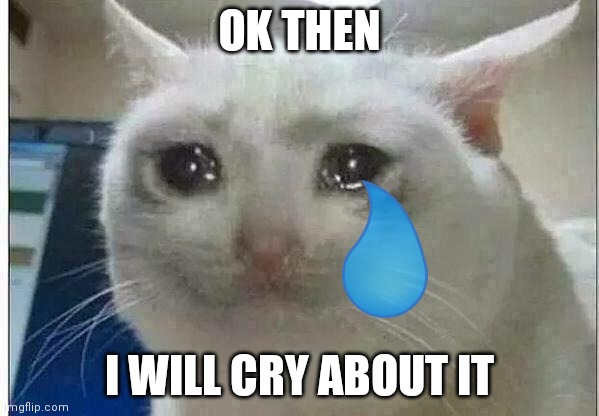 crying cat | OK THEN I WILL CRY ABOUT IT | image tagged in crying cat | made w/ Imgflip meme maker