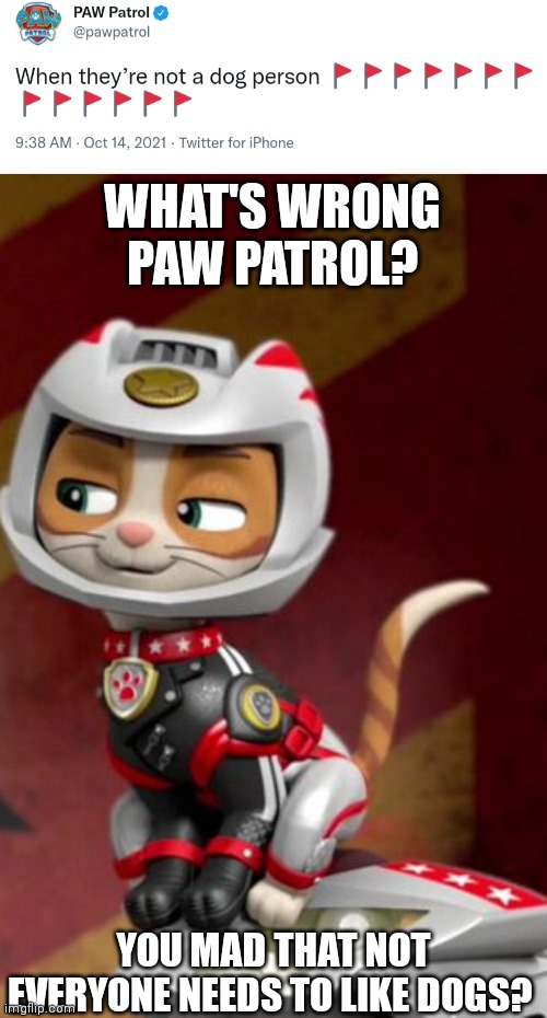 They could have thought of something better for that stupid red flag trend | WHAT'S WRONG PAW PATROL? YOU MAD THAT NOT EVERYONE NEEDS TO LIKE DOGS? | image tagged in paw patrol,cats | made w/ Imgflip meme maker